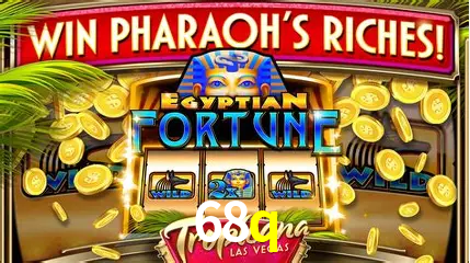 A Experiência Imersiva dos Cassinos Ao Vivo no 68q